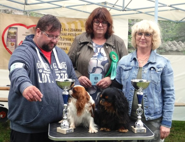 KV 2020-I, 11.7.2020, Městec Králové